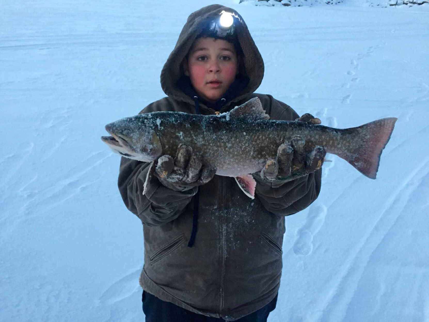 Record brook trout